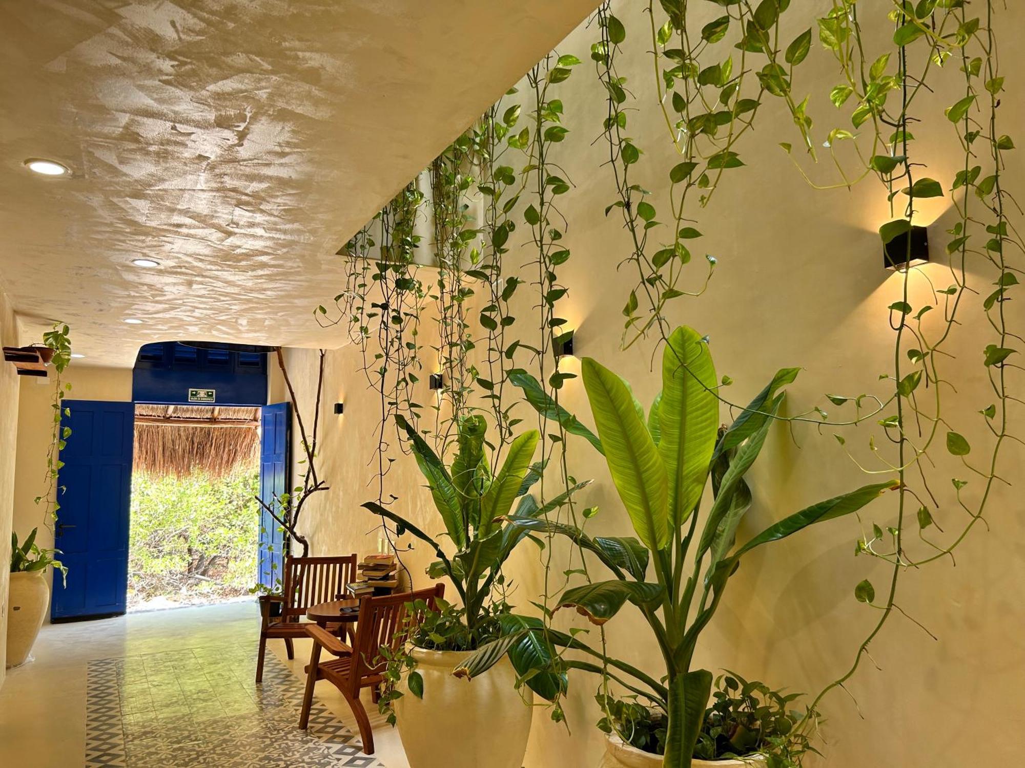 Apartment Sunsteps Casa Isla Holbox