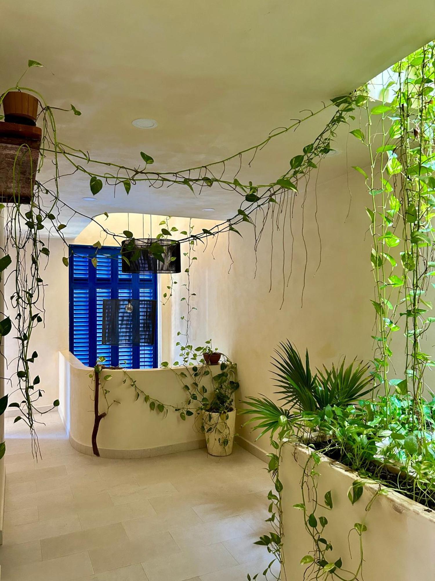 Sunsteps Casa Apartment Isla Holbox