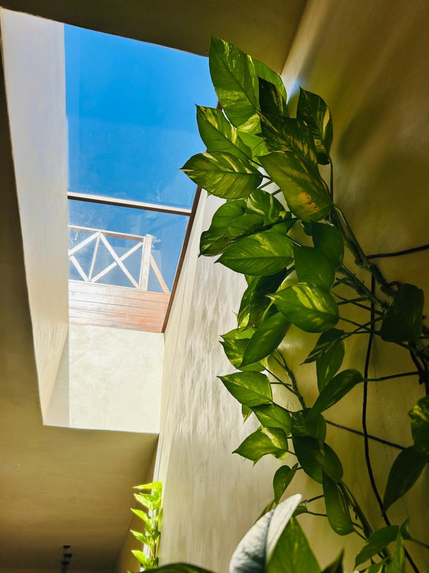 Sunsteps Casa *